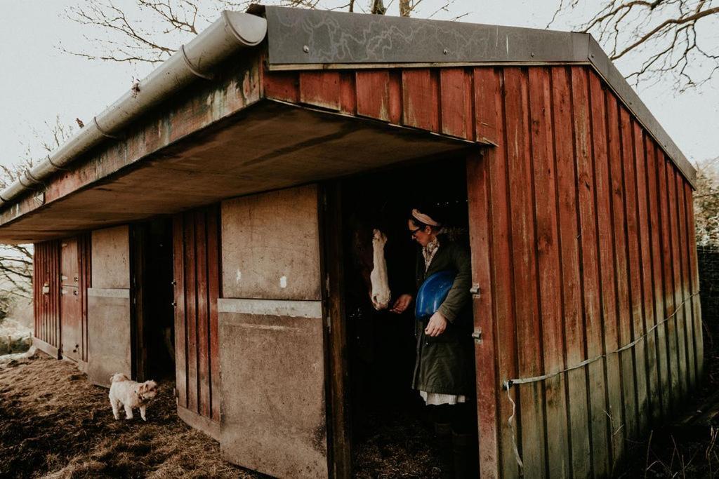 Higher Trewithen Stithians エクステリア 写真